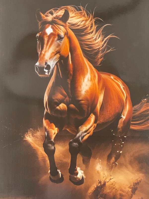 Chestnut horse rearing captured on Nigerian television broadcast