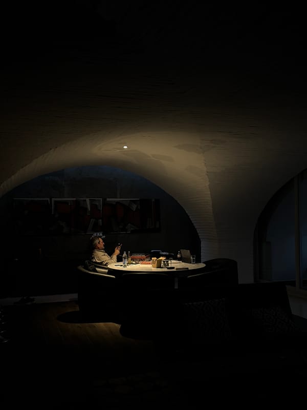 Woman documents evening with dog in Mexican town interior