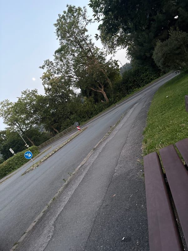 Evening stroll along a park path in Osterode am Harz