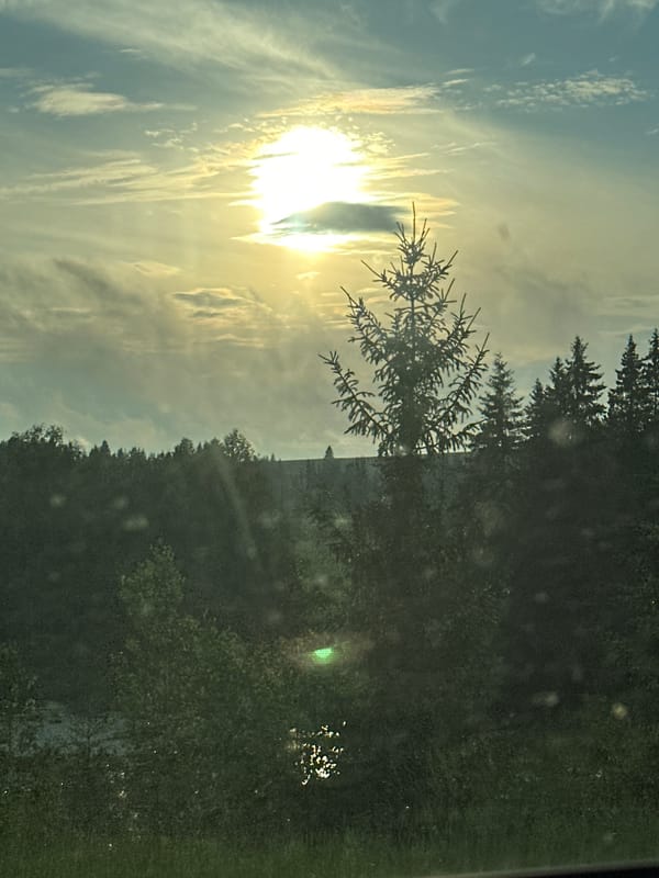 Sun pillar and cloud formations observed over Buranovo forest