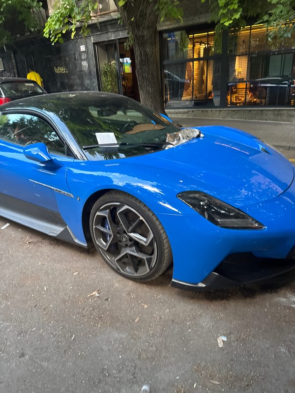 Cat claims a parked sports car in Varna, parking ticket included