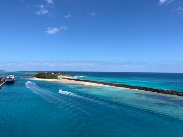 Coastal breakwater and port pigeon documented by witness