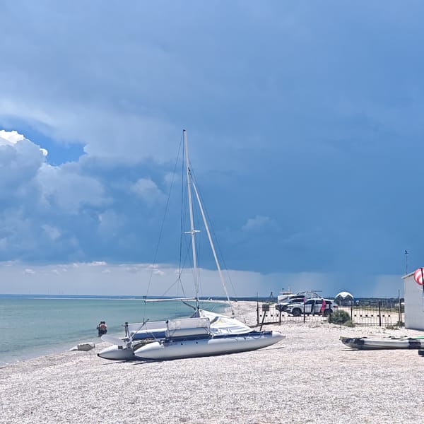 Beach recreation captured: sailing, cycling, playground activities observed morning