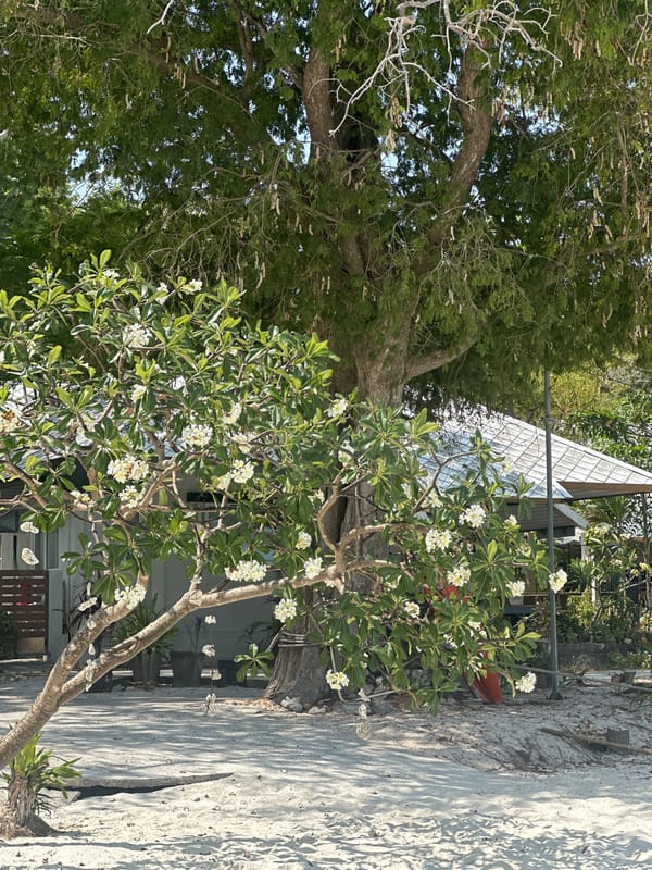 Morning beach scenes captured at Ao Kiu Na Nai, Thailand