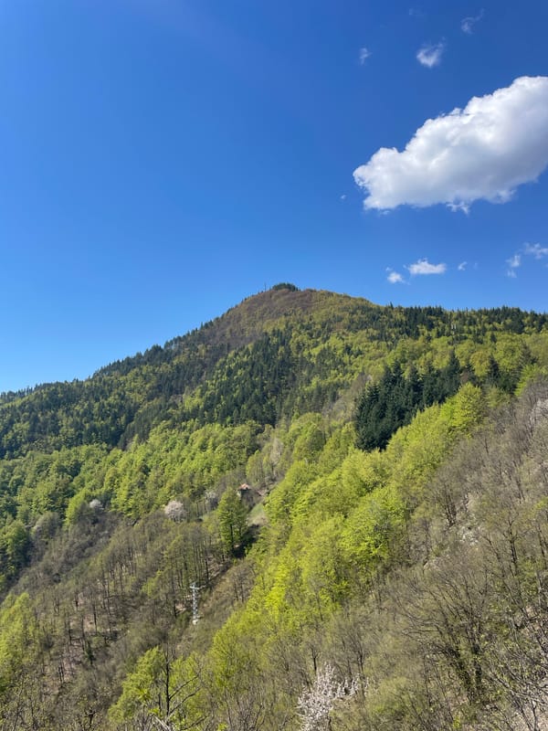 Spring mountain hike documented across Bulgarian highlands near Pechinska
