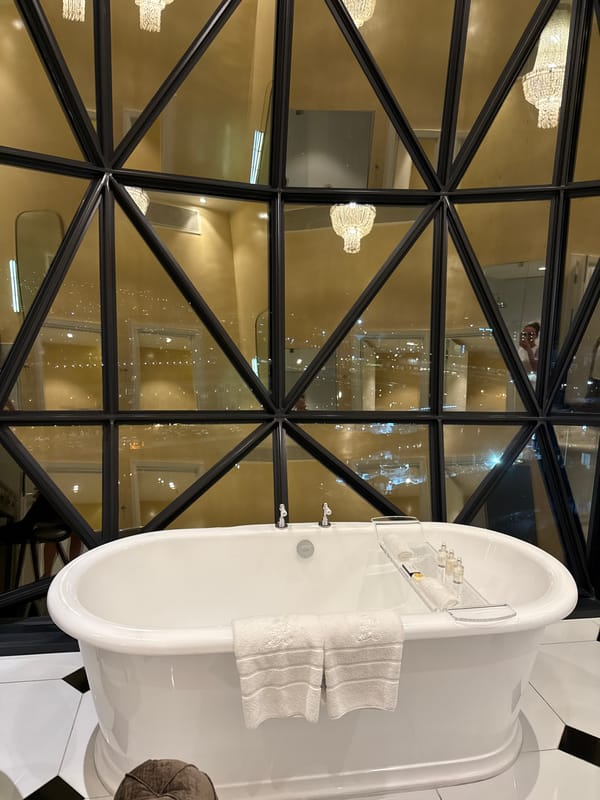 Cape Town hotel interior showcased African art and luxury amenities