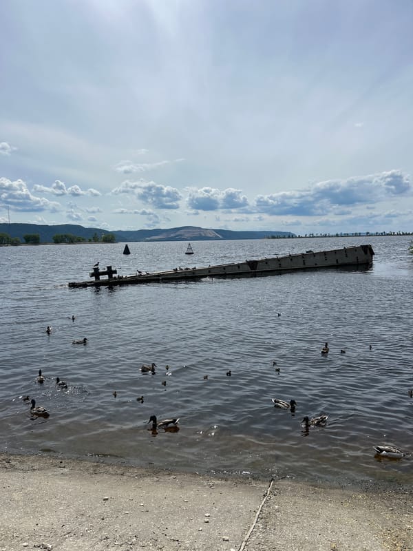 Volga riverbank life in Togliatti — fishing, ducks, sunken barge