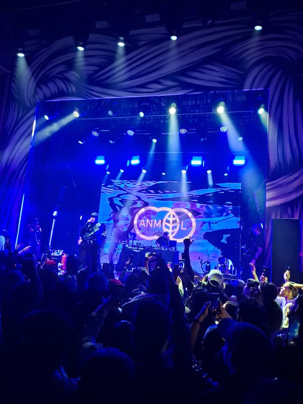 ANML concert draws crowds in Madrid evening performance