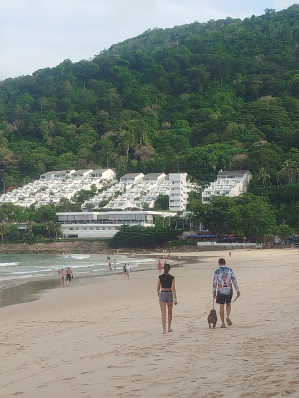 Dogs and beach walks along Rawai's rocky shoreline