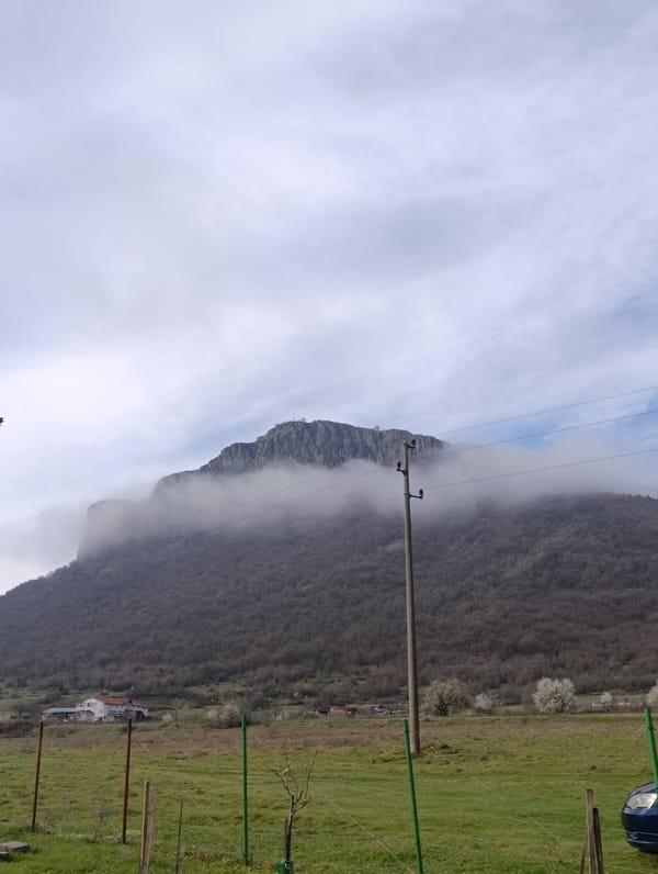Morning pastoral documentation in Bulgarian countryside reveals spring awakening