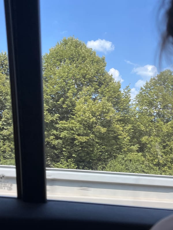 Window views from a moving vehicle: trees, fields, open highway