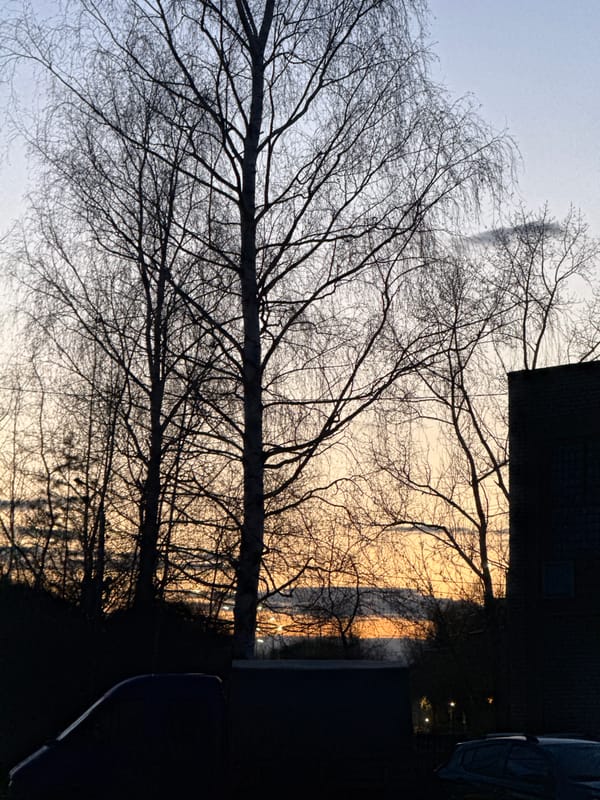 Urban twilight documented through smartphone photography and street scenes