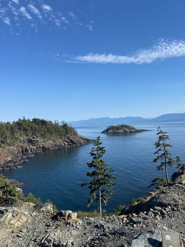 Rocky Pacific overlook on Vancouver Island's wild southern coast