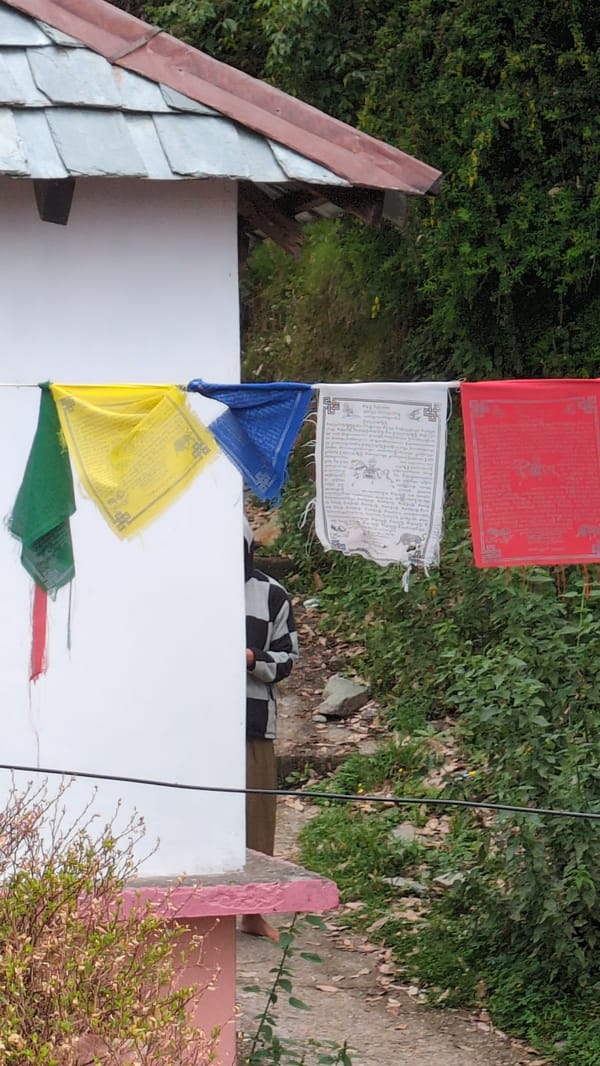 Early morning village life documented in Haini, India