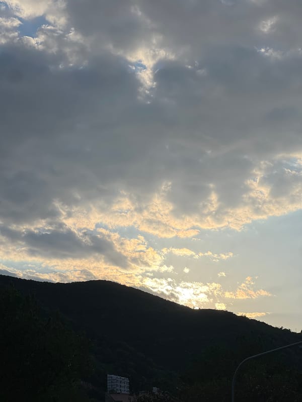 Afternoon scenes documented across Budva parks and streets