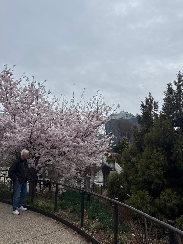 Spring waterfront scenes documented across NYC during overcast afternoon