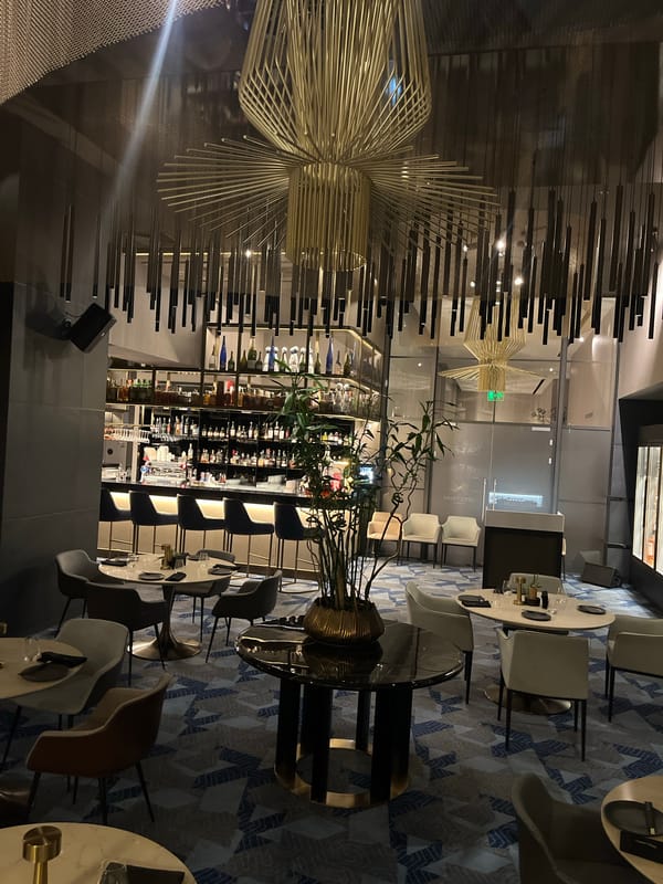 Upscale Sofia bar interior captured in evening documentation