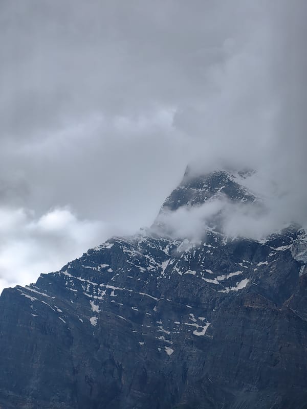 Roadside stop in Lahaul: mountain views and a friendly goat