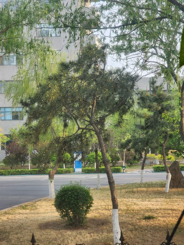 Electric scooter riders documented across Chinese urban neighborhoods