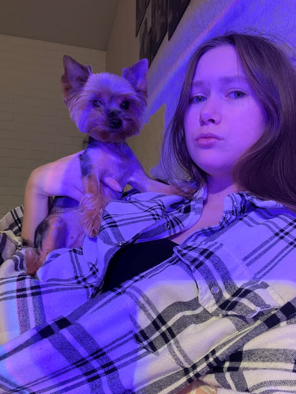 Woman photographs selfies with Yorkshire Terrier in Chaikovsky, Russia