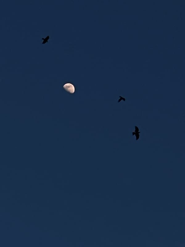 Woman's evening routine captured across Istanbul's Esenyurt district