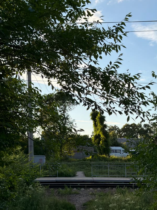 Afternoon dog walk and home life in Semiluki, Russia