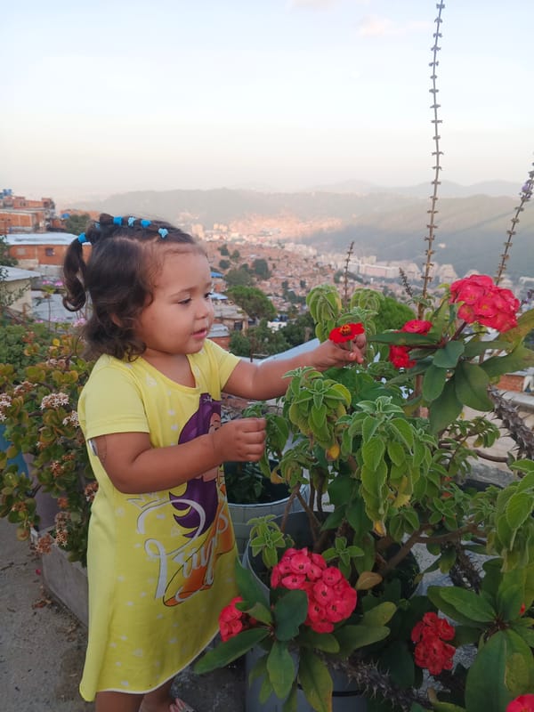 Family evening activities captured across Caracas residential areas
