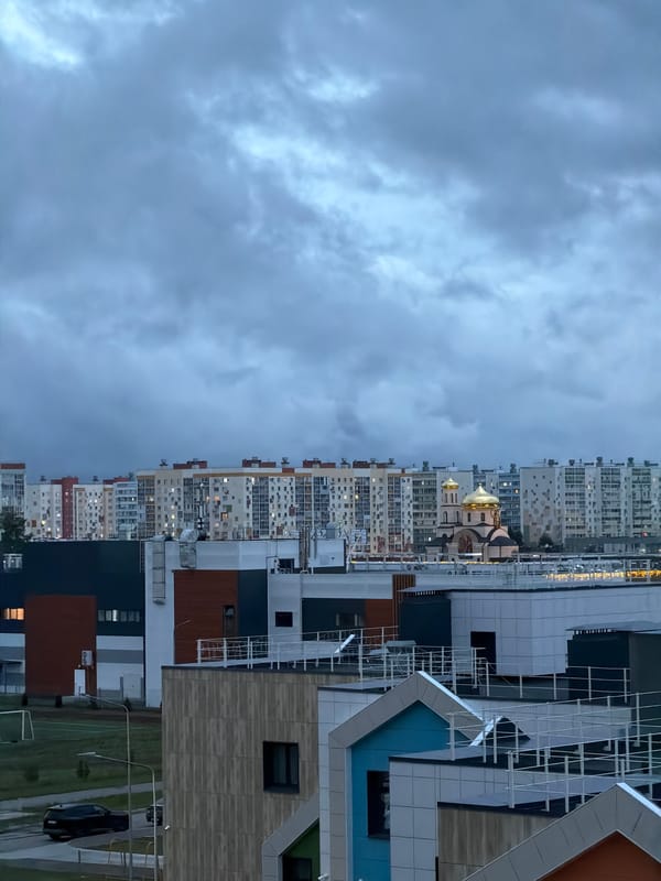 Nizhnekamsk evening: city blocks and a Scottish Fold cat