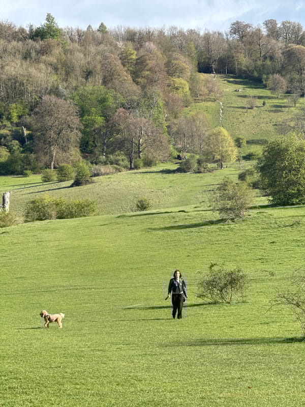Ordinary afternoon moments documented across Dacorum countryside and suburbs