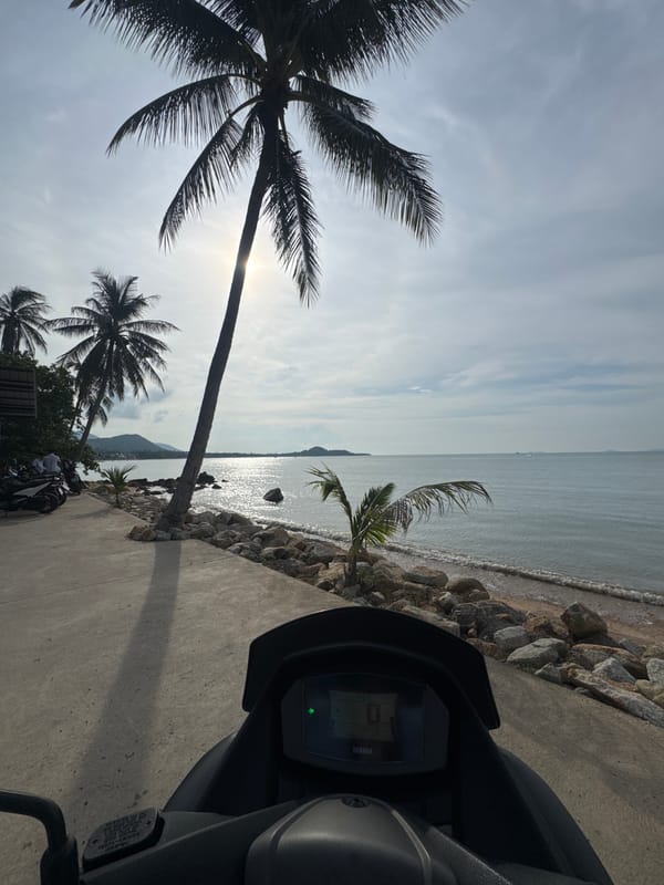Scooter ride along Ko Samui's rocky coast, ending at a waterfront restaurant