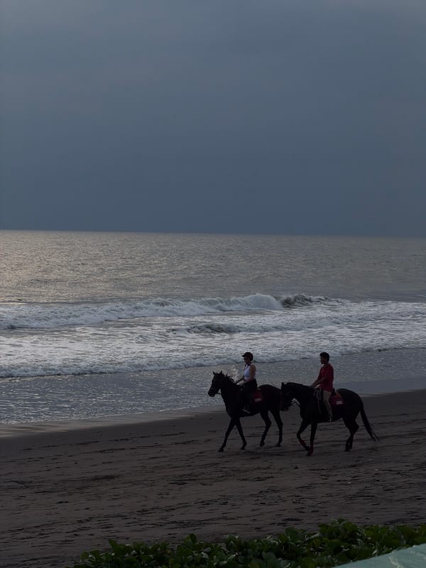 Beach horseback riding and surfing observed in Indonesia