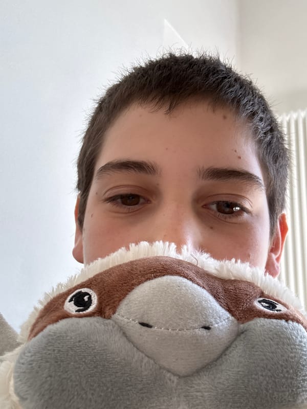 Person photographed with stuffed animal in Erba, Italy