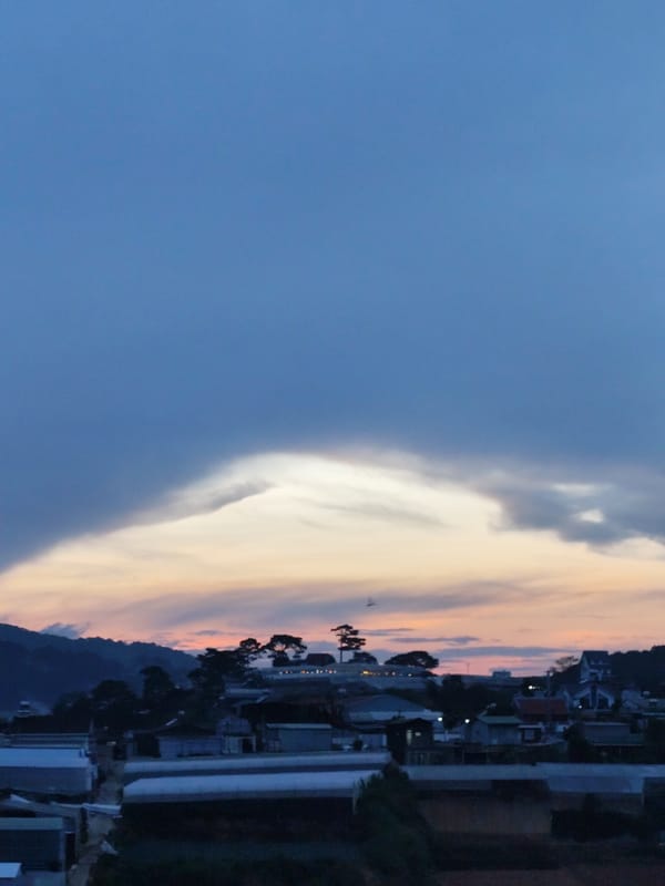 Witness documents Da Lat landscape and winding residential road