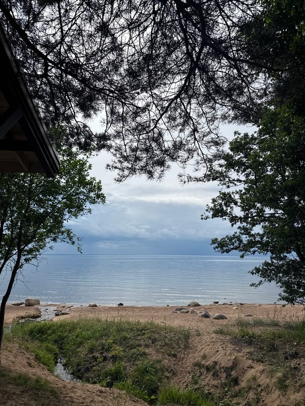 Lunch and leisure at Komarovo's Gulf of Finland shoreline