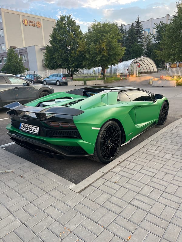 Luxury car parked, small dogs spotted in afternoon hours