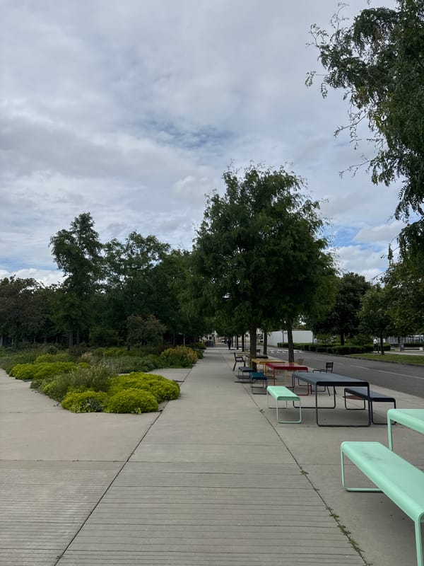 Tree-lined pathway with outdoor seating observed in Blagnac