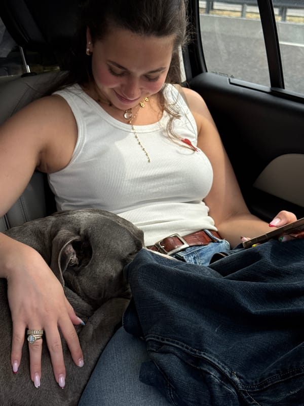 Woman observed in vehicle during daytime in Assago, Italy