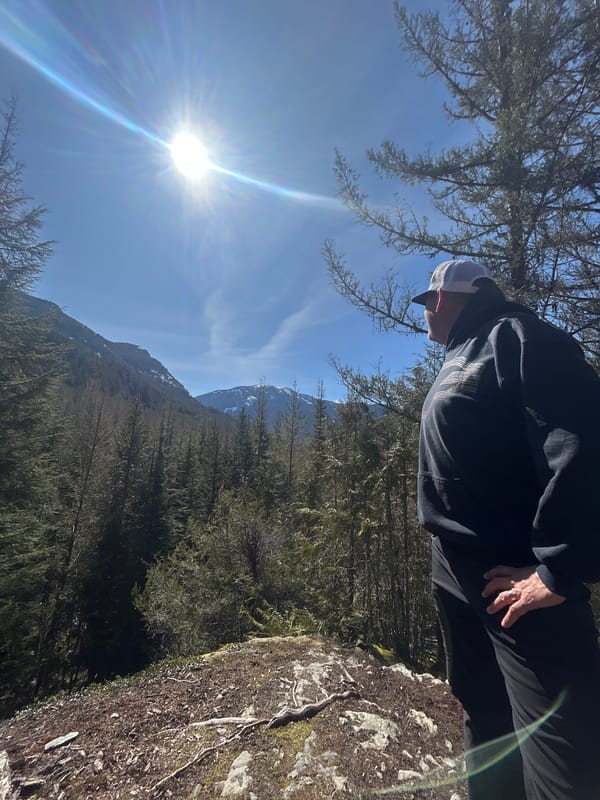 Dog plays in snow during sunny afternoon in Whistler forest