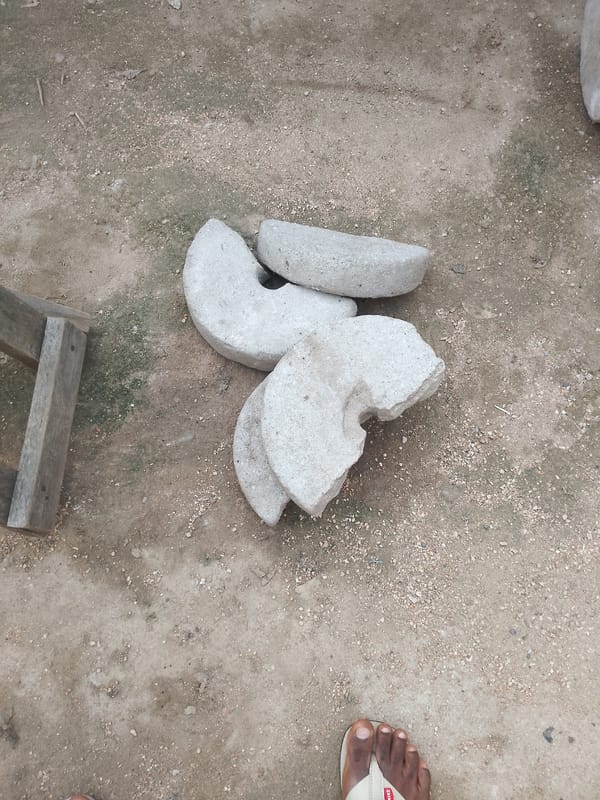 Homemade outdoor gym documented with concrete weights and wooden equipment