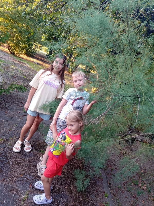 Summer afternoon with kids and a dog in Chuhuiv, Ukraine