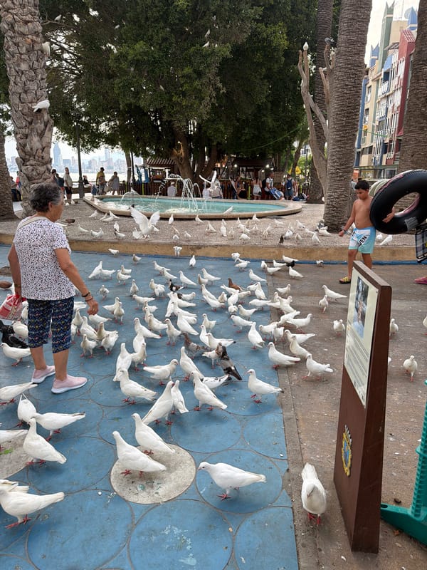 Afternoon scenes along Benidorm's busy promenade and streets