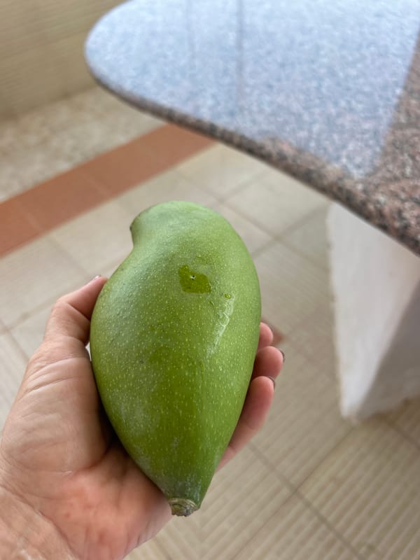 Daily life moments documented across Puttaparthi, India