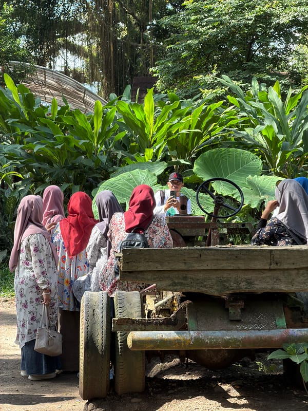 Exploring De Djawatan's ancient moss-draped forest in East Java