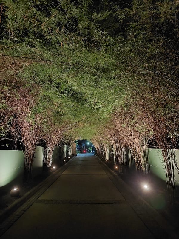 Softly lit bamboo pathway at night in Baan Mae Nam