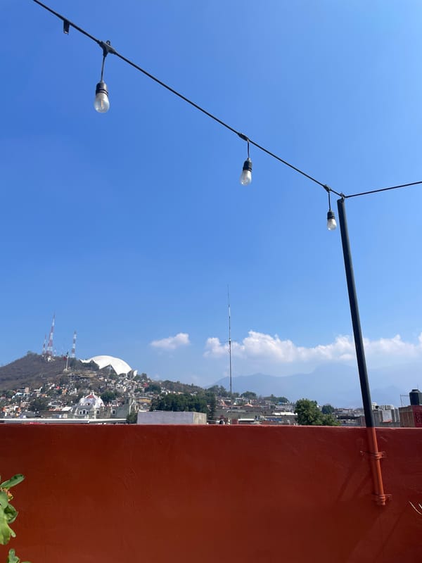 Witness documents afternoon scenes across Oaxaca City rooftops and interiors