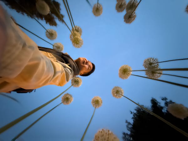 Man interacts with dandelion-like art installation in Moscow