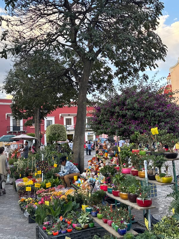 Street vendors sell plants, balloons in Atlixco market