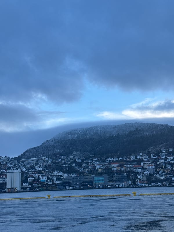 Bergen cityscape captured showing hillside buildings and yellow-railed pier