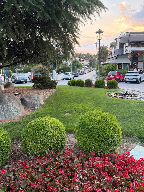 Evening stroll through Panorama's leafy suburban streets at sunset