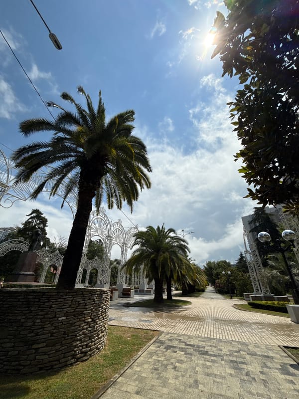 Sochi morning: parks, modern architecture, and city wandering